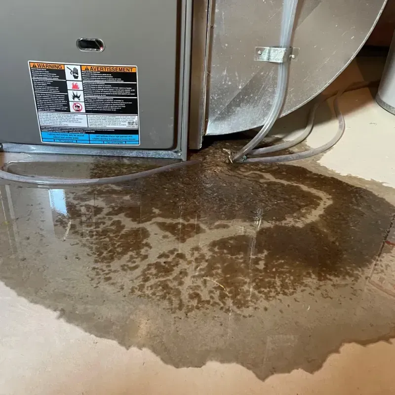 Appliance Leak Cleanup in Croom, MD